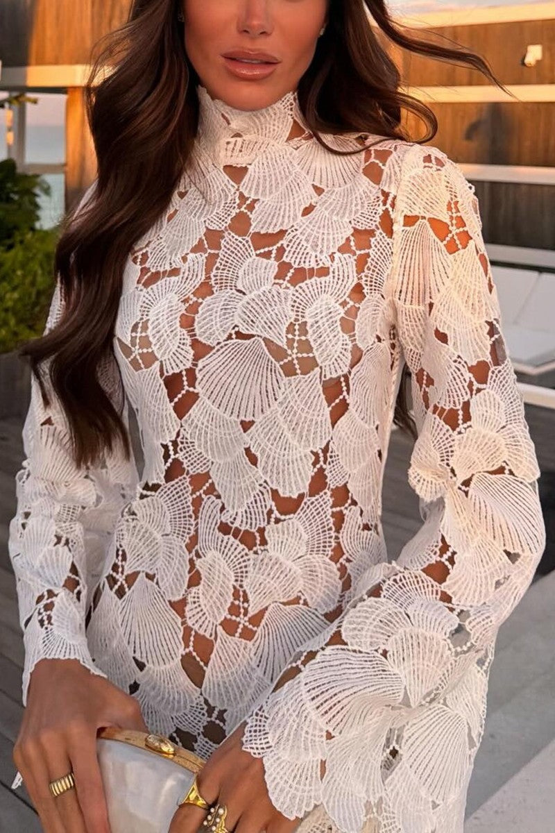 Elegant Lace High-neck Casual Dress